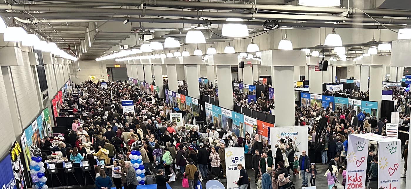 The Gossip Column: February 2, 2024